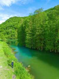 คุณไม่เคยคิดว่าจะได้เห็นมุมถนนสายรุ้ง🌈 ที่โด่งดัง