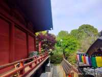 เชคอิน Kiyomizu Kannon-dō Temple ที่ Ueno Park