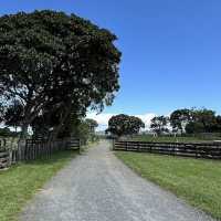 Ambury Regional Park – City-Farm & Harbour Retreat on Auckland’s Shores