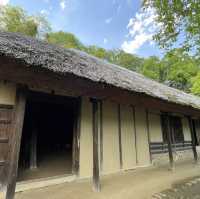 【東京町田】美しい池と植物の楽園