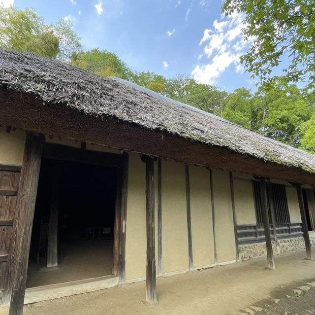 【東京町田】美しい池と植物の楽園 【東京町田】美しい池と植物の楽園