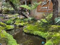 ชมคาเฟ่ - Chom Cafe & Restaurant Chiangmai🌿