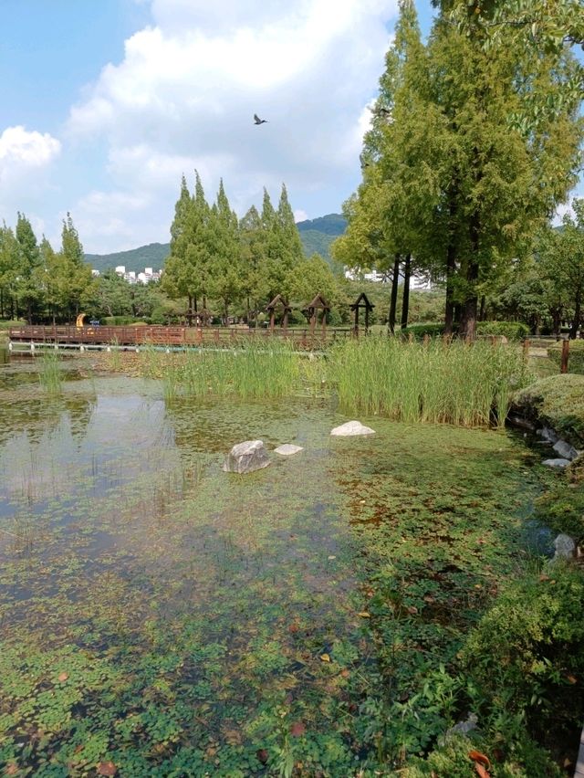 도심 속 여유를 품은 연지공원 도심 속 여유를 품은 연지공원