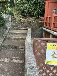 日本沖繩｜安里八幡宮——城市街角的靜謐神社，凝望歲月與庇佑的守護之地