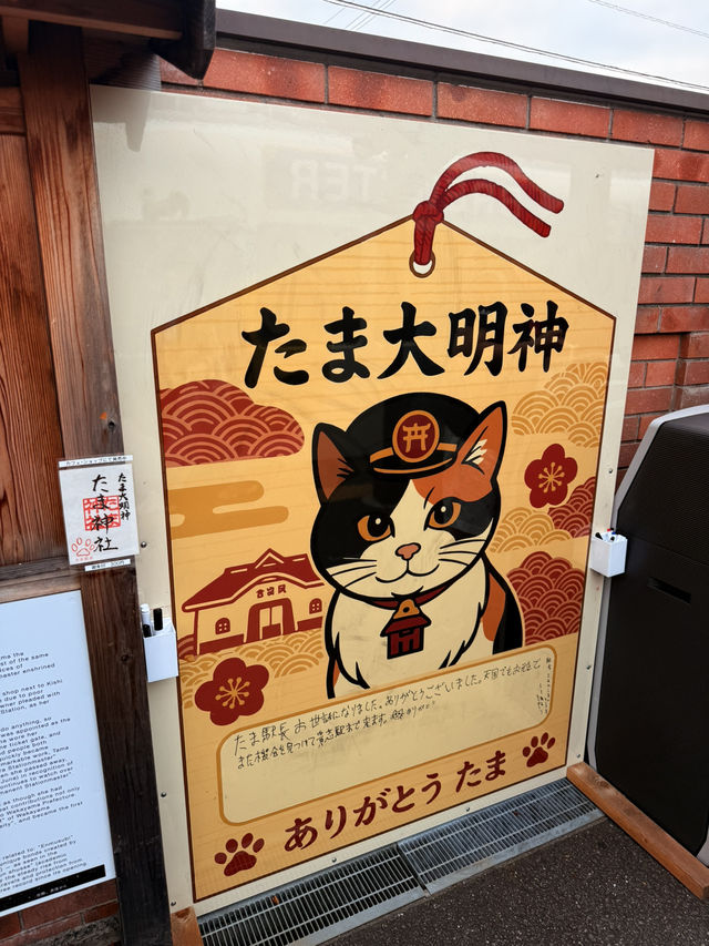 和歌山|搭小玉電車探訪貓站長 適合親子和歌山一日遊 和歌山|搭小玉電車探訪貓站長 適合親子和歌山一日遊