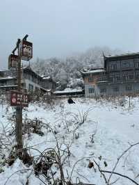 One Day Trip Chengdu to Wawu Shan 