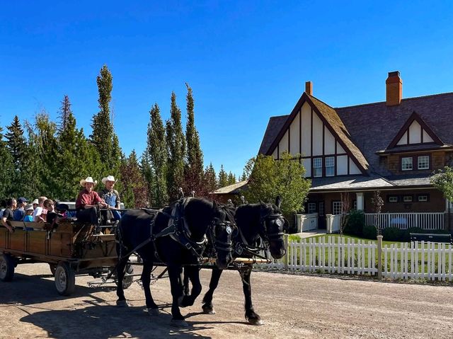 Easy Accessibility Easy Accessibility