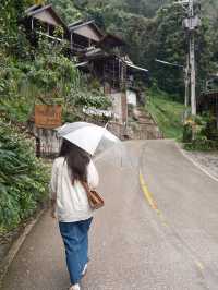 A cute and cozy half day trip