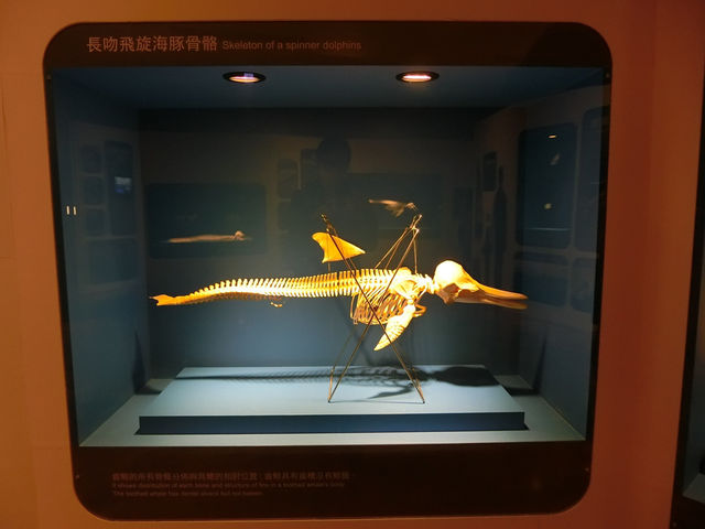 什麼?怎麼會是到銀行看古生物? 什麼?怎麼會是到銀行看古生物?