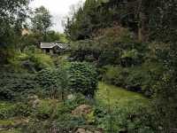 Arboretum Kalmthout