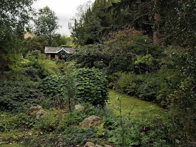 Arboretum Kalmthout
