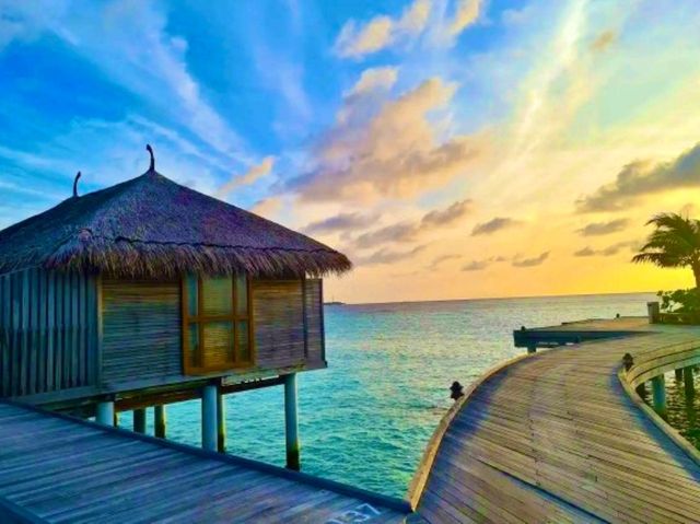 Constance Moofushi — The Art of All-Inclusive Perfection