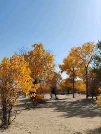The Spirit of the Desert Poplar