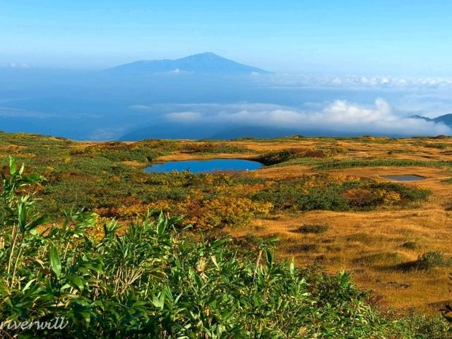 【山形県】出羽三山の霊峰！東北屈指の紅葉名所「月山」
