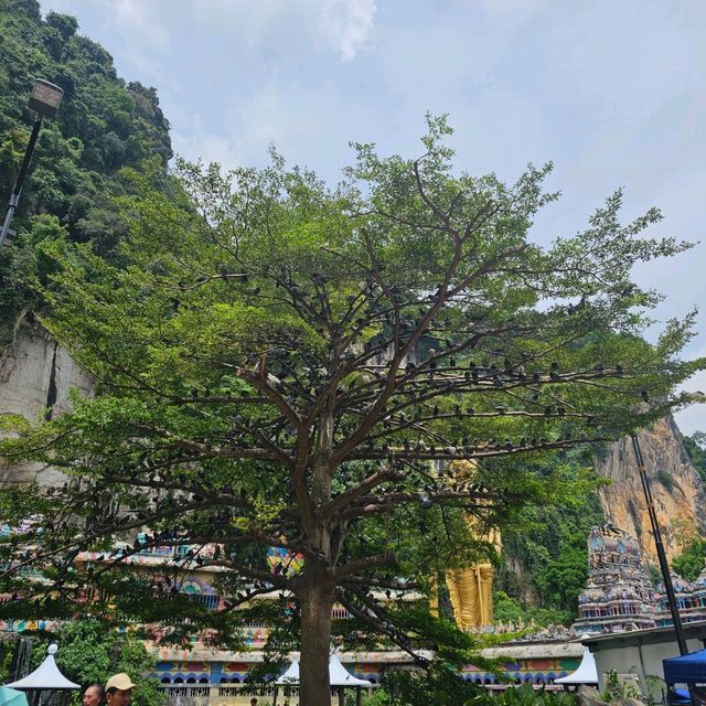 Batu Caves – The Stairs to the Sky