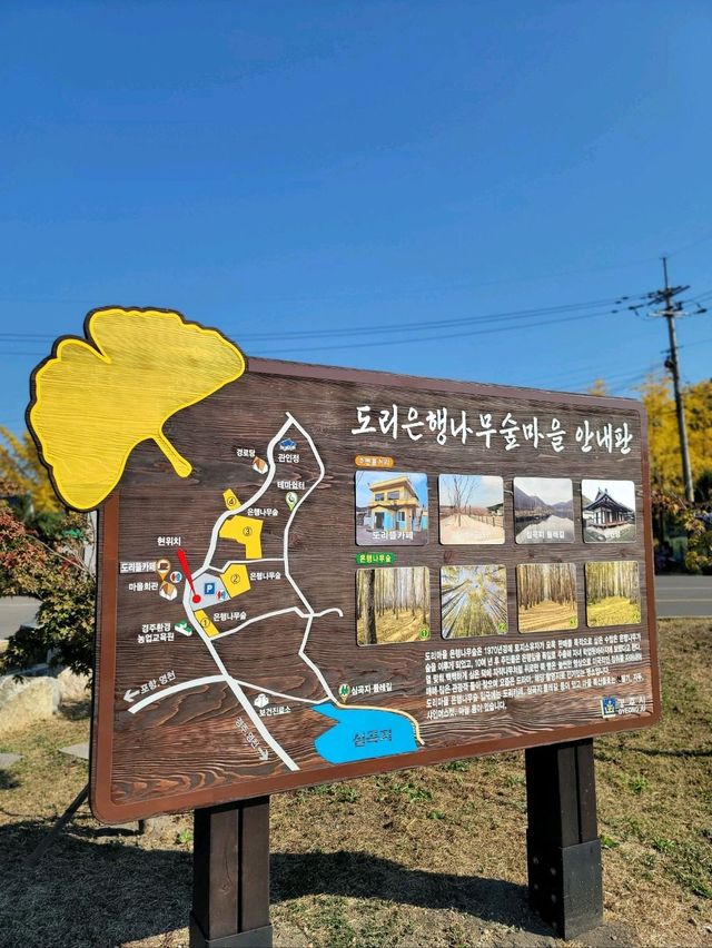 경주의 가을이 더 아름다워지는 이유💛