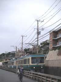 Day trip from tokyo