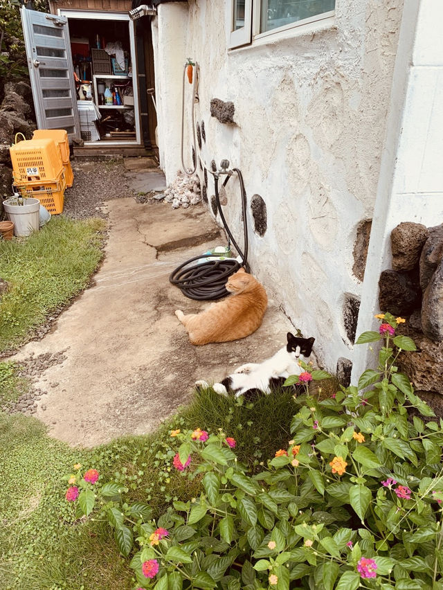 Tranquil Paradise with Unique Architecture   Tranquil Paradise with Unique Architecture