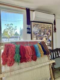 반나절 투어 즐기기