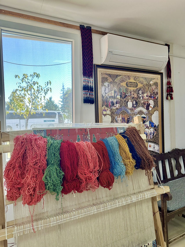 반나절 투어 즐기기 반나절 투어 즐기기