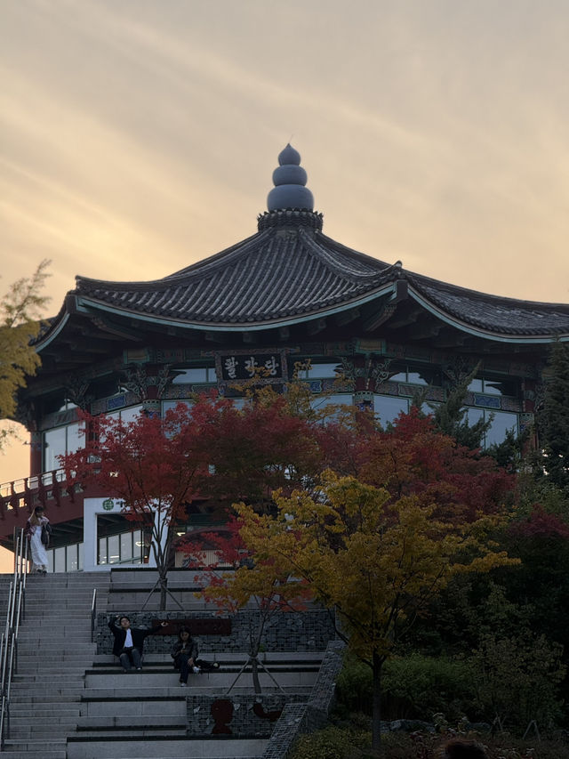 서울 도심 속 단풍 명소, 어린이대공원 서울 도심 속 단풍 명소, 어린이대공원