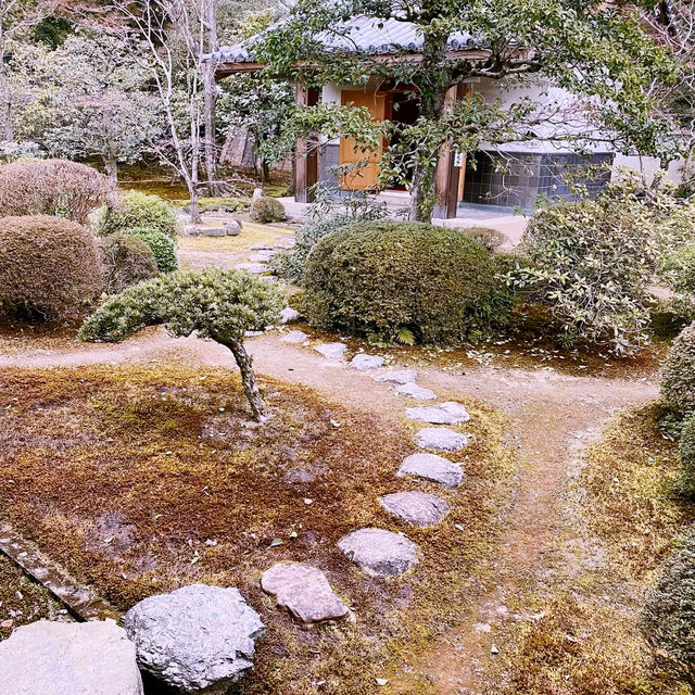 🍂 “Crimson Whispers at Zuishin-in Temple”