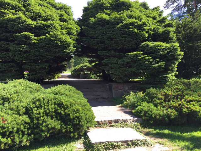 Why Helsinki Should Be on Your 2025 Travel Bucket List 🇫🇮✨