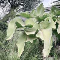 A Jungle in the Mediterranean: Family Adventure at Val Rahmeh Garden