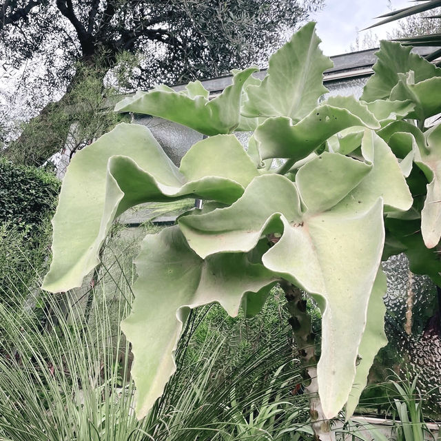 A Jungle in the Mediterranean: Family Adventure at Val Rahmeh Garden