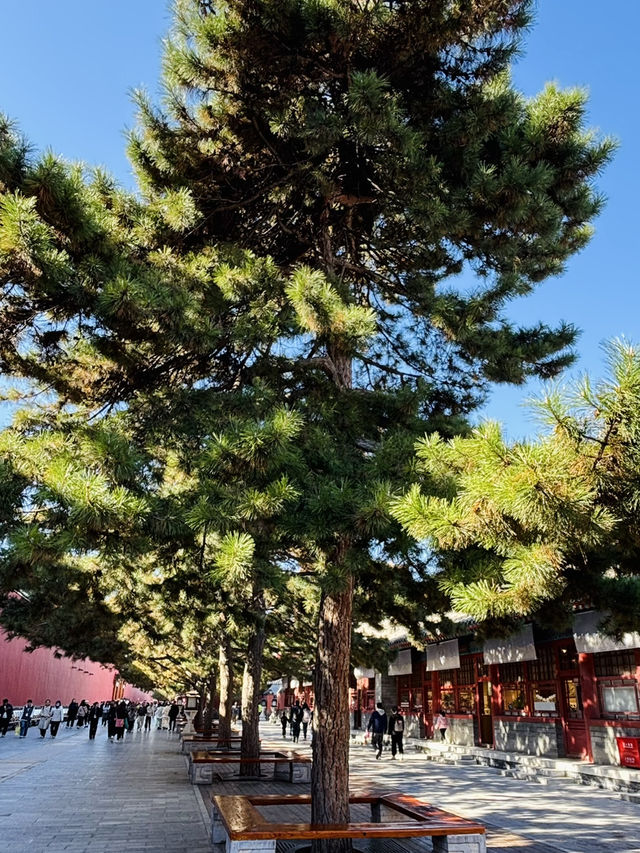 北京之旅:頤和園與故宮的歷史與靜美 北京之旅:頤和園與故宮的歷史與靜美