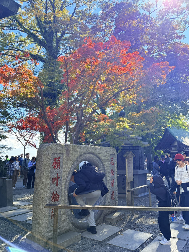 米其林三星的秋日絮語～滿山紅葉的高尾山