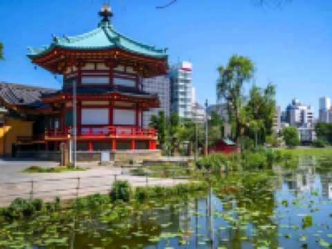 เที่ยวโตเกียว 1 วัน… กระเป๋ายังรอดอยู่ไหม!?