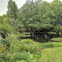 Ayrlies Garden and Wetlands
