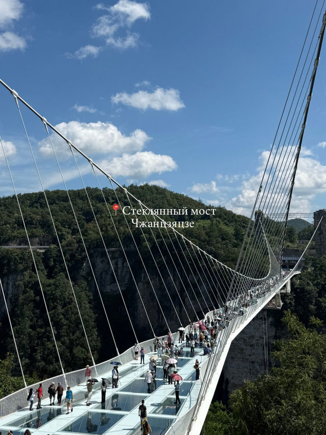 Чжанцзяцзе моими глазами⛰️🌏 Чжанцзяцзе моими глазами⛰️🌏