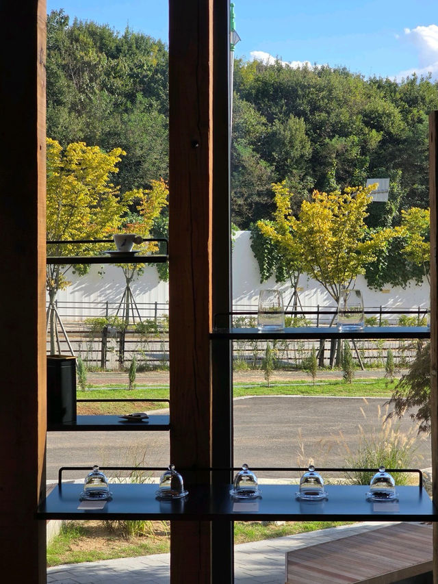 💛경기도에 위치한💜용인 대형 카페 데이던스