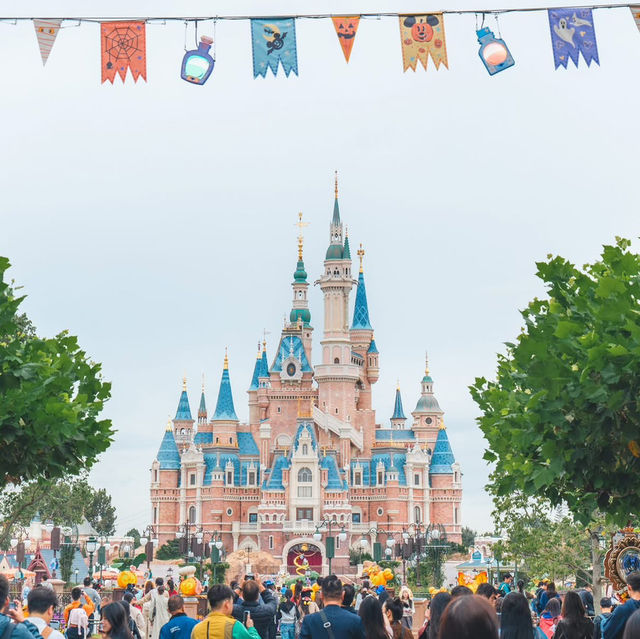 แพลนเที่ยวเซี่ยงไฮ้ 4 วัน 3 คืน แพลนเที่ยวเซี่ยงไฮ้ 4 วัน 3 คืน