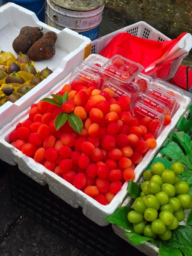 เที่ยวลี่เจียง กับ Trip.com เที่ยวลี่เจียง กับ Trip.com