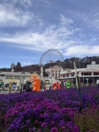 Everland Fall Magic🍁  