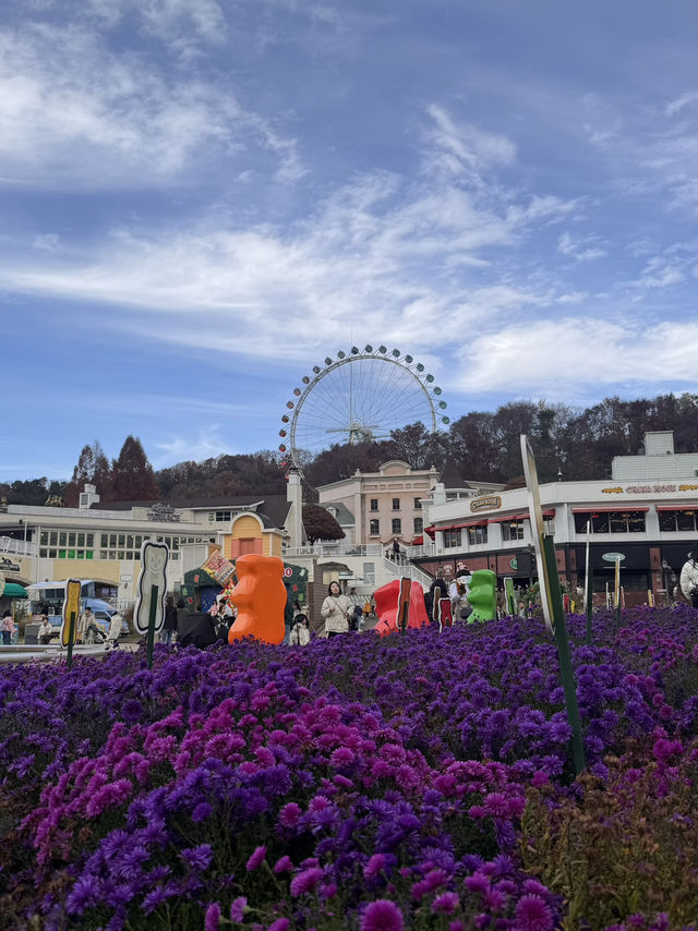 Everland Fall Magic🍁  