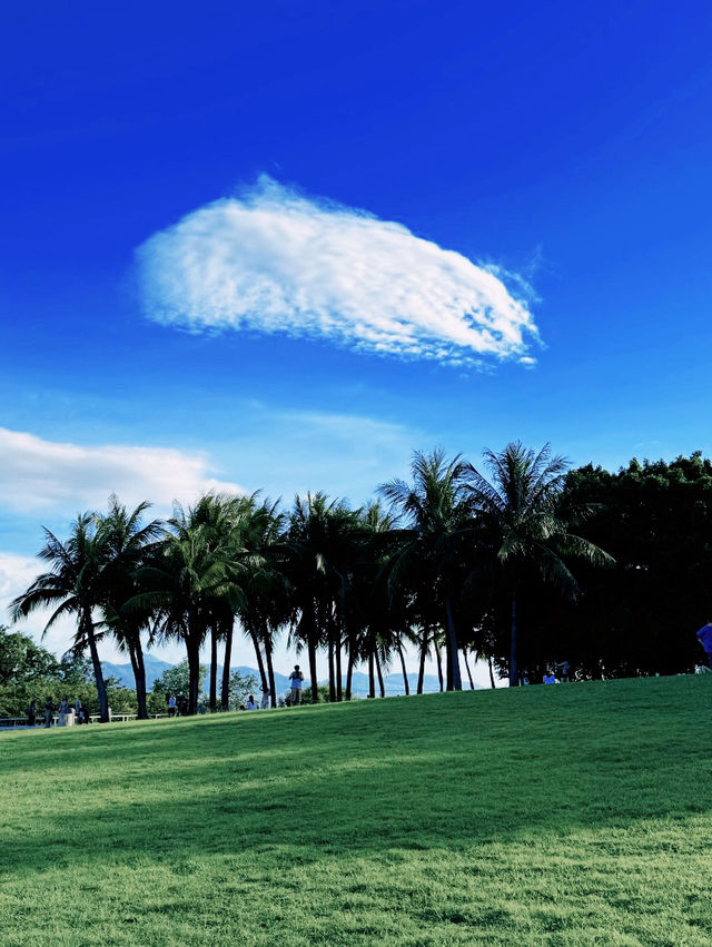 Shenzhen Bay Park Shenzhen Bay Park