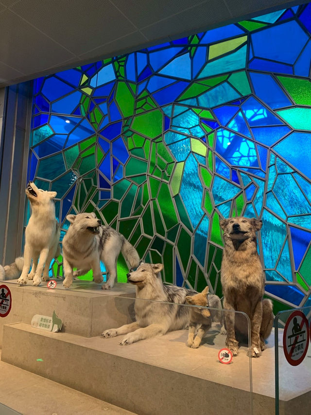 Shanghai Natural Museum 🐒🫎🦕🦖🦑🐋