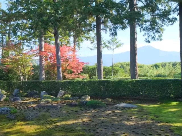 京都北山賞楓必去靜謐秘境🍁圓通寺充滿禪意的絶美畫捲 京都北山賞楓必去靜謐秘境🍁圓通寺充滿禪意的絶美畫捲