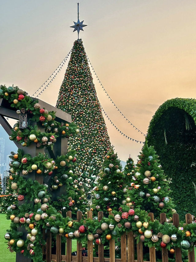 Urban Tides of Light: A Kowloon Christmas Unfolding Urban Tides of Light: A Kowloon Christmas Unfolding