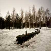 Winter Magic: Christmas Dreams in Rovaniemi 