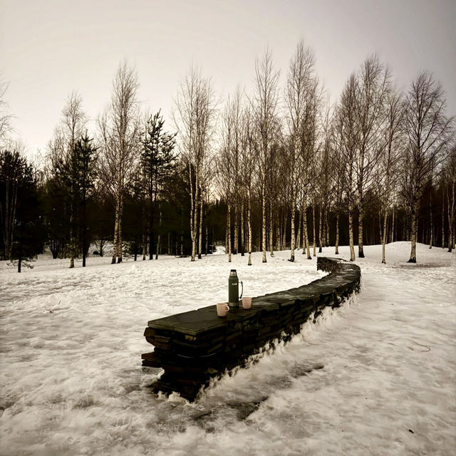 Winter Magic: Christmas Dreams in Rovaniemi 