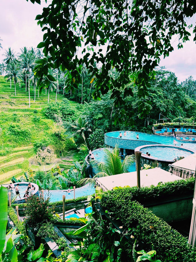 Bali Poolside 🍋 Bali Poolside 🍋