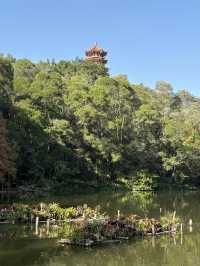 深圳仙湖弘法半日遊,自然療癒與禪意體驗