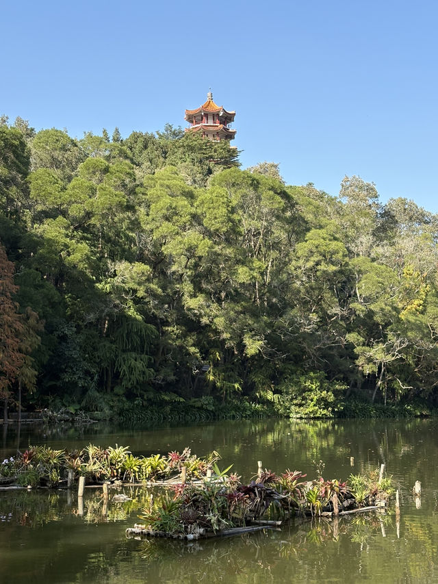 深圳仙湖弘法半日遊,自然療癒與禪意體驗 深圳仙湖弘法半日遊,自然療癒與禪意體驗