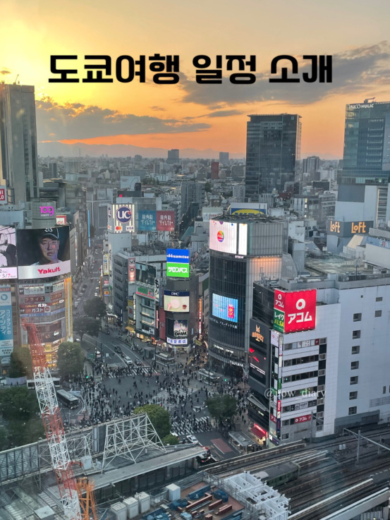 ✈️ Tokyo's Must-Visit Spots!
This itinerary is packed with my personal favorites! Feel free to tweak it to suit your preferences 💛💛
DAY 1|Shibuya
Shibuya Scramble Crossing 🚦
→ Shopping in Shibuya (Shibuya109, Miyashita Park)
→ Shibuya Sky 🌆 (Highly recommend sunset and night views)
→ Move to Nakameguro
→ ☕️ Tokyo Reserve Starbucks Roastery
→ Stroll along Meguro River 🌸 (Night views are beautiful too)
📌 Shibuya ↔ Nakameguro is easily accessible by train, making the route very convenient
DAY 2|Tokyo Tower & Roppongi
Azabudai Hills 🏙️
→ Tokyo Tower 🗼
→ Roppongi Hills & Roppongi Illumination ✨
(Especially magical during winter)
DAY 3|Tokyo Disneyland
Spend the whole day 🎢✨
Enjoy the parade and fireworks for a relaxed finish
DAY 4|Asakusa & Kichijoji
Sensoji Temple ⛩️ & Nakamise Street
→ Move to Kichijoji
→ Stroll through Inokashira Park 🌳
→ Return home
✔️ Conveniently grouped by area for easy travel
✔️ Balanced itinerary with shopping, night views, and theme parks
✔️ Especially recommended for first-time Tokyo visitors!