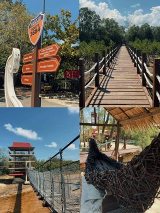 日差しの中の小道と静かな湿地の散策